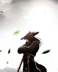 女书记的升官笔记